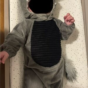 Adorable Baby Raccoon Costume